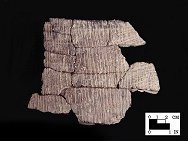 Accokeek S-twist cord-marked sherds from Hallowing Point site 18CV31, SI Cat.# 401960-Courtesy of the Smithsonian Institution, Museum of Natural History, Department of Anthropology.